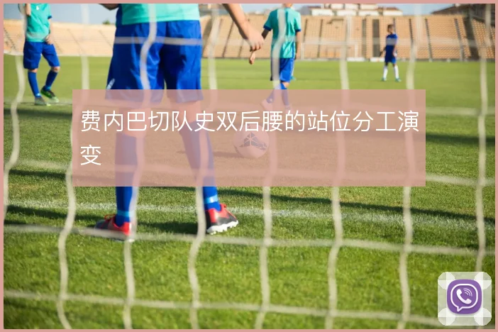 费内巴切队史双后腰的站位分工演变