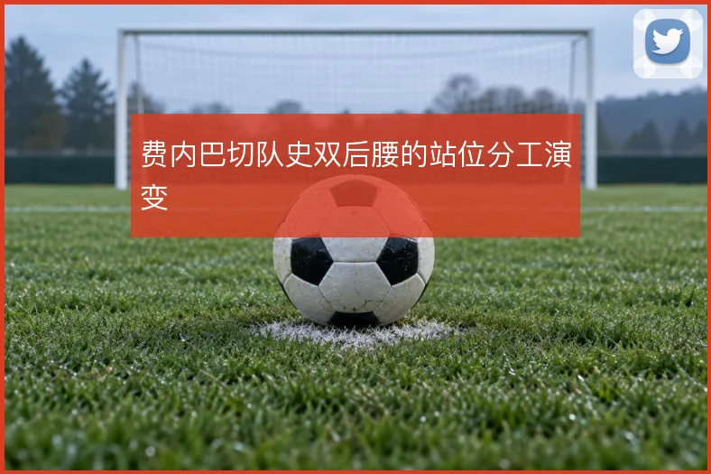 费内巴切队史双后腰的站位分工演变
