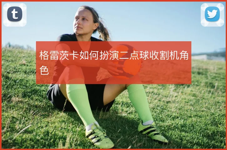 格雷茨卡如何扮演二点球收割机角色
